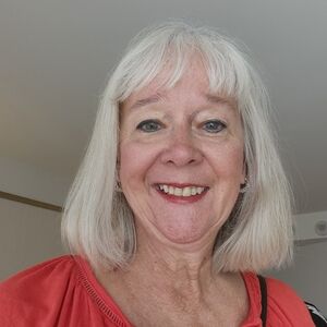 Chicos, Tahari, Coldwater Creek, Christopher & Banks.